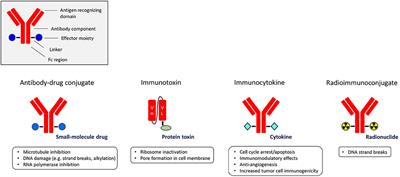 Targeted Therapy With Immunoconjugates for Multiple Myeloma